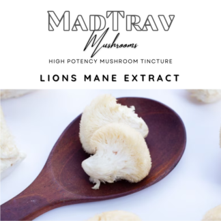 MadTrav | Lions Mane | Mushroom Extract Tincture (Strongest on UK market)