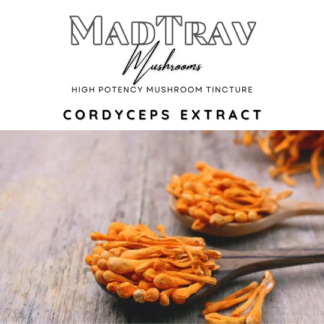 MadTrav | Cordyceps Extract | Mushroom Tincture