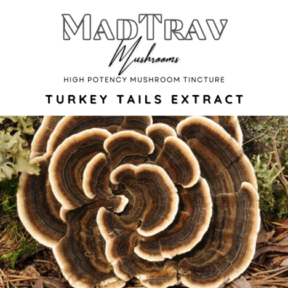 MadTrav | Turkey Tail Extracts | Mushroom Tinctures
