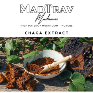 MadTrav | Chaga Extract | Mushroom Tincture