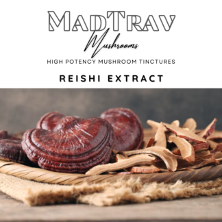 MadTrav | Reishi Extract | Mushroom Tincture